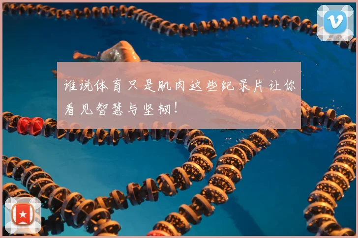 谁说体育只是肌肉这些纪录片让你看见智慧与坚韧！