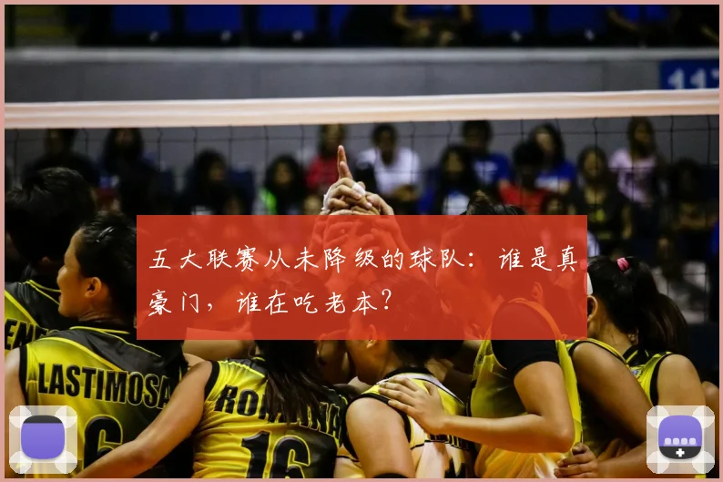 五大联赛从未降级的球队：谁是真豪门，谁在吃老本？