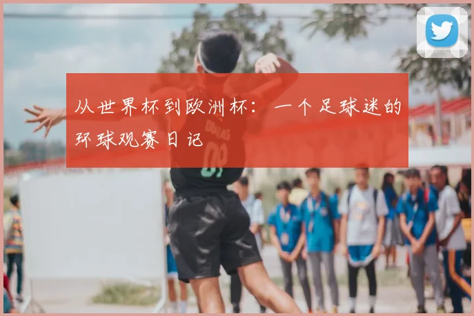从世界杯到欧洲杯:一个足球迷的环球观赛日记