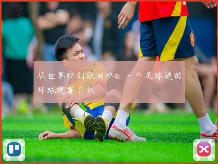从世界杯到欧洲杯：一个足球迷的环球观赛日记